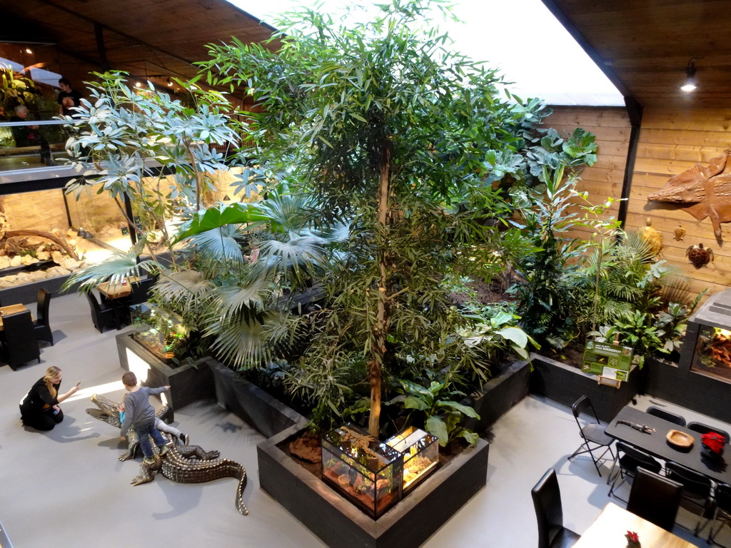 Interior of the Reptielenhuis De Aarde zoo, viewed from the upper floor