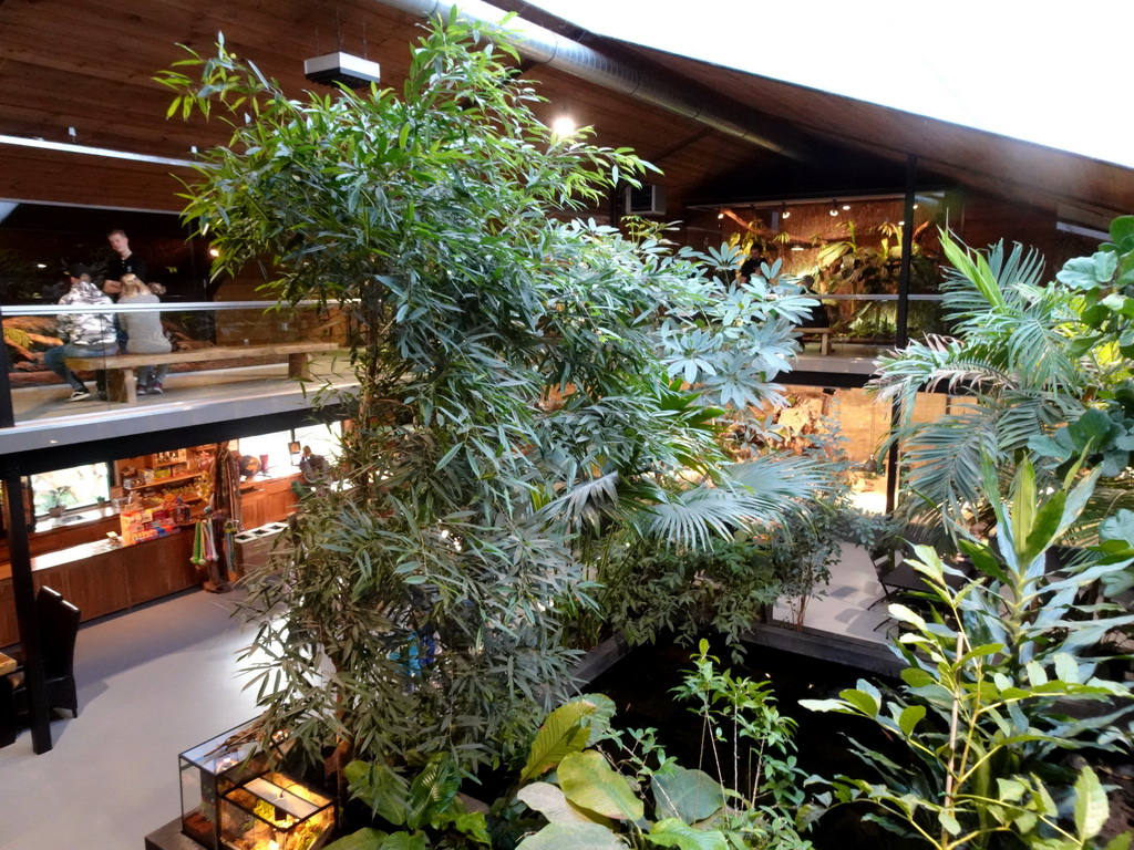 Interior of the Reptielenhuis De Aarde zoo, viewed from the upper floor