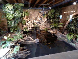 Pond with Dwarf Crocodiles at the lower floor of the Reptielenhuis De Aarde zoo