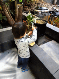 Max getting food for the Red-eared Sliders at the lower floor of the Reptielenhuis De Aarde zoo