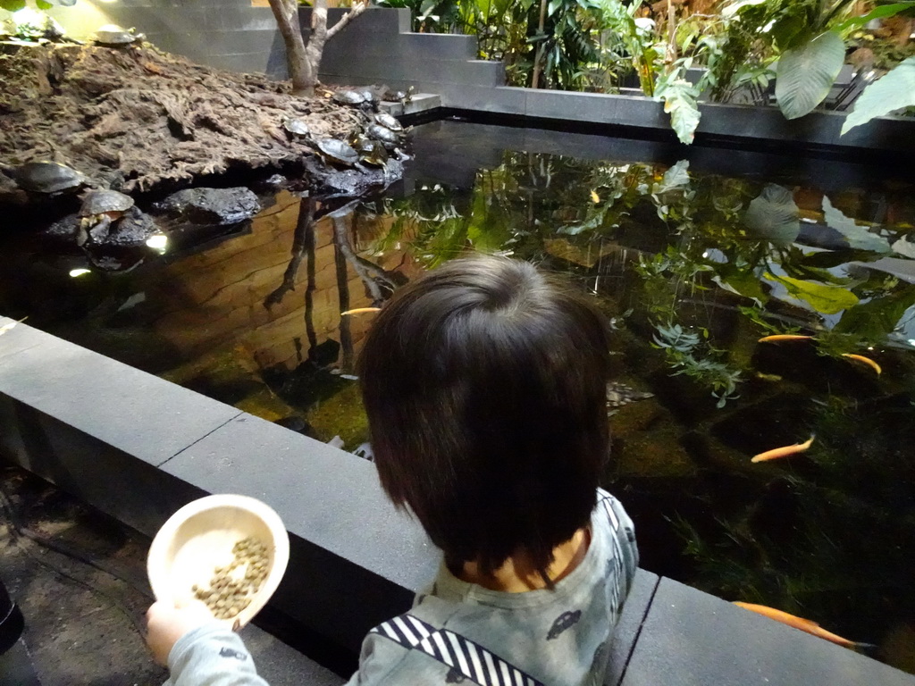 Max feeding the Red-eared Sliders at the lower floor of the Reptielenhuis De Aarde zoo