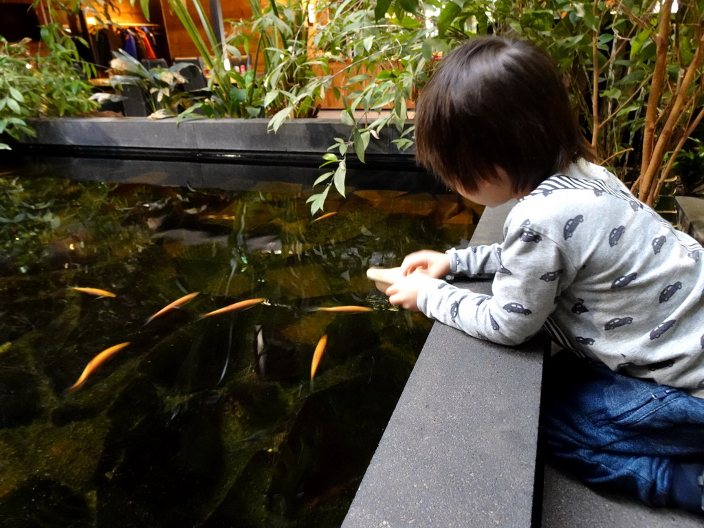 Max feeding the Red-eared Sliders at the lower floor of the Reptielenhuis De Aarde zoo