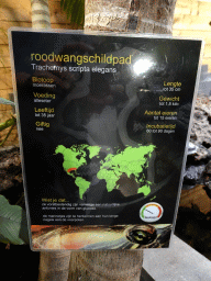 Explanation on the Red-eared Slider at the lower floor of the Reptielenhuis De Aarde zoo