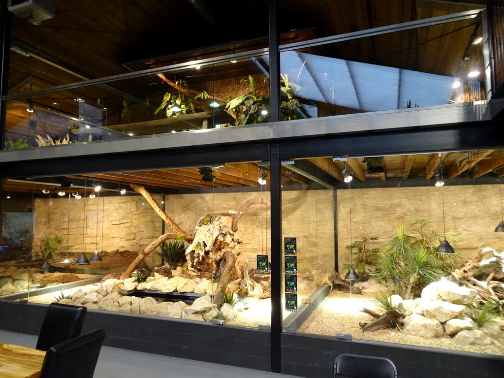 Interior of the Reptielenhuis De Aarde zoo