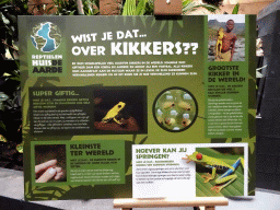 Information on frogs at the lower floor of the Reptielenhuis De Aarde zoo