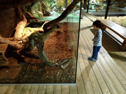 Max with a Reticulated Python at the upper floor of the Reptielenhuis De Aarde zoo