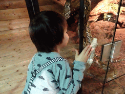 Max with a Reticulated Python at the upper floor of the Reptielenhuis De Aarde zoo