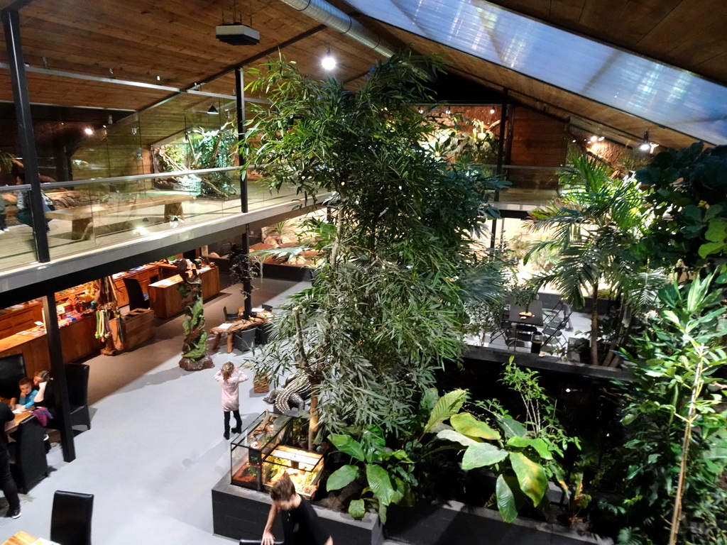 Interior of the Reptielenhuis De Aarde zoo, viewed from the upper floor