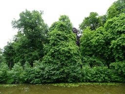 The Mark river and the Stadspark Valkenberg, viewed from the northeast side of the Parade square of Breda Castle