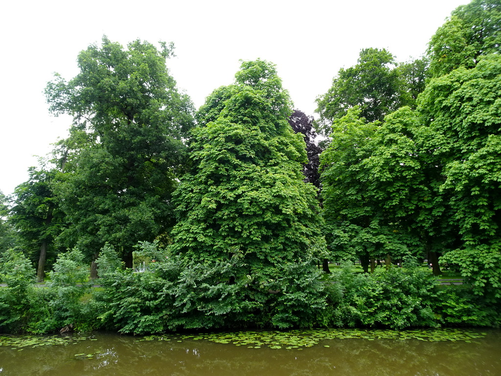 The Mark river and the Stadspark Valkenberg, viewed from the northeast side of the Parade square of Breda Castle