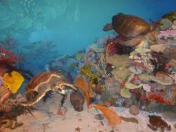 Model of a coral reef with fish and turtles, at the first floor of the Queensland Museum & Sciencentre