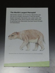Information on the Diprotodon Optatum, at the first floor of the Queensland Museum & Sciencentre