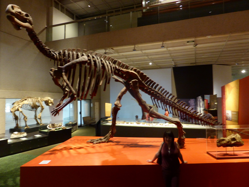 Miaomiao with a skeleton of a Tyrannosaurus Rex, at the first floor of the Queensland Museum & Sciencentre