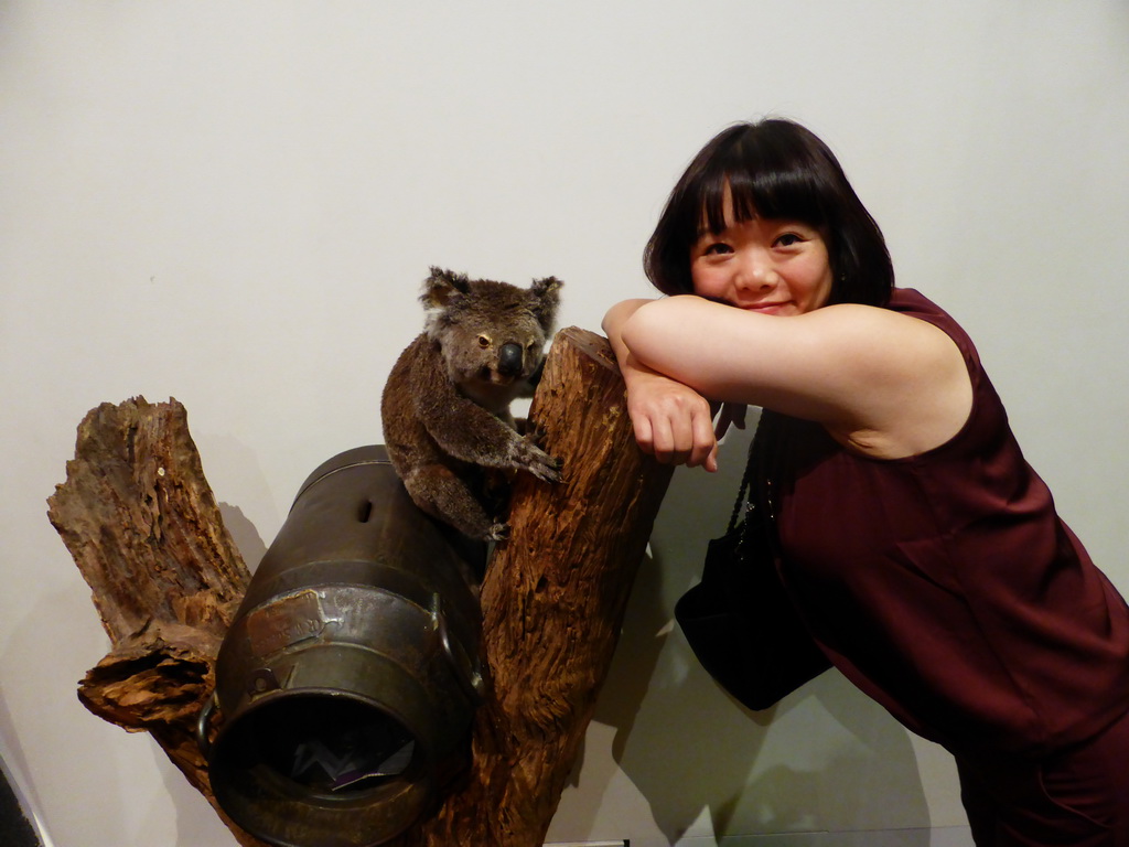 Miaomiao with a stuffed Koala, at the second floor of the Queensland Museum & Sciencentre