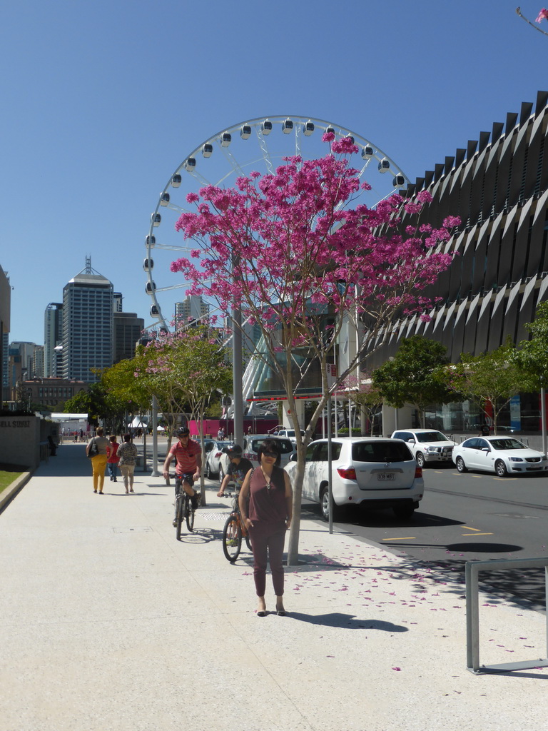 Miaomiao at Russell Street, with a view on the Wheel of Brisbane