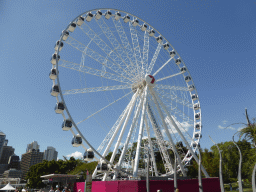 The Wheel of Brisbane, viewed from Russell Street