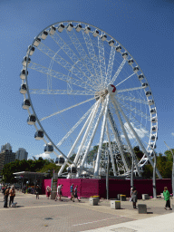 The Wheel of Brisbane, viewed from Russell Street