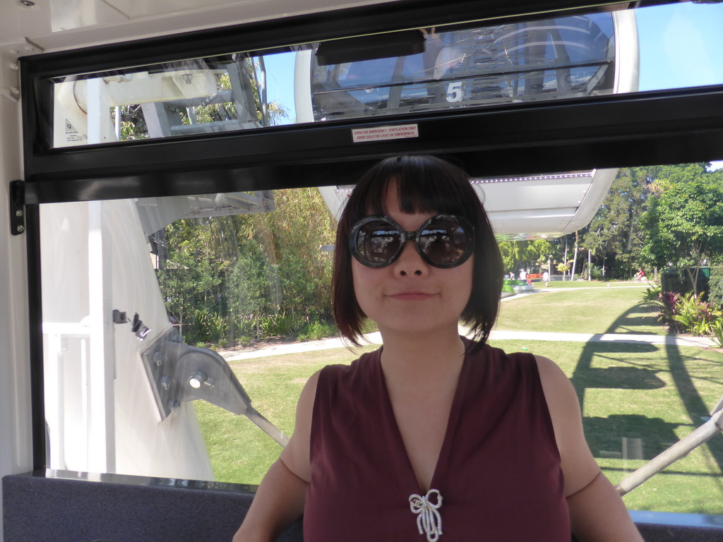 Miaomiao in the Wheel of Brisbane, with a view on the South Bank Parklands