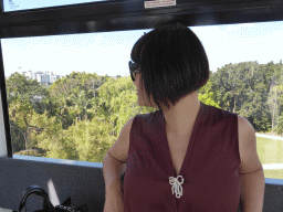 Miaomiao in the Wheel of Brisbane, with a view on the South Bank Parklands