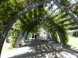 The Arbour walkway at the South Bank Parklands