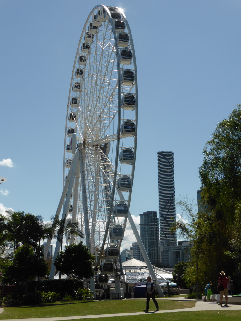 The Wheel of Brisbane and the Infinity Tower, viewed from the South Bank Parklands