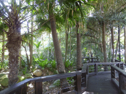 Walkway at the South Bank Parklands