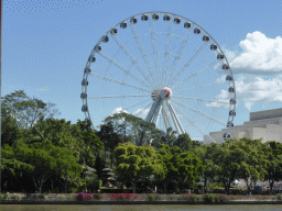 The Wheel of Brisbane, the South Bank Parklands and the Brisbane River, viewed from the ferry