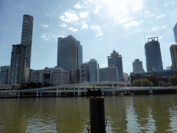 Australasian darter on a pole in the Brisbane River and the skyline of Brisbane with the Infinity Tower, viewed from the Southbank Boardwalk