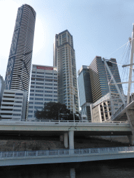 The Infinity Tower and other skyscrapers in the city center and the Kurilpa Bridge over the Brisbane River, viewed from the Miramar Koala & River Cruise boat