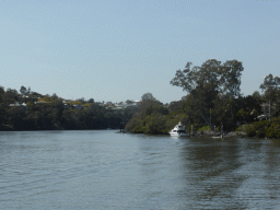 The Brisbane River and houses in the Woolloongabba neighbourhood, viewed from the Miramar Koala & River Cruise boat