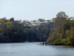 The Brisbane River and houses in the Woolloongabba neighbourhood, viewed from the Miramar Koala & River Cruise boat