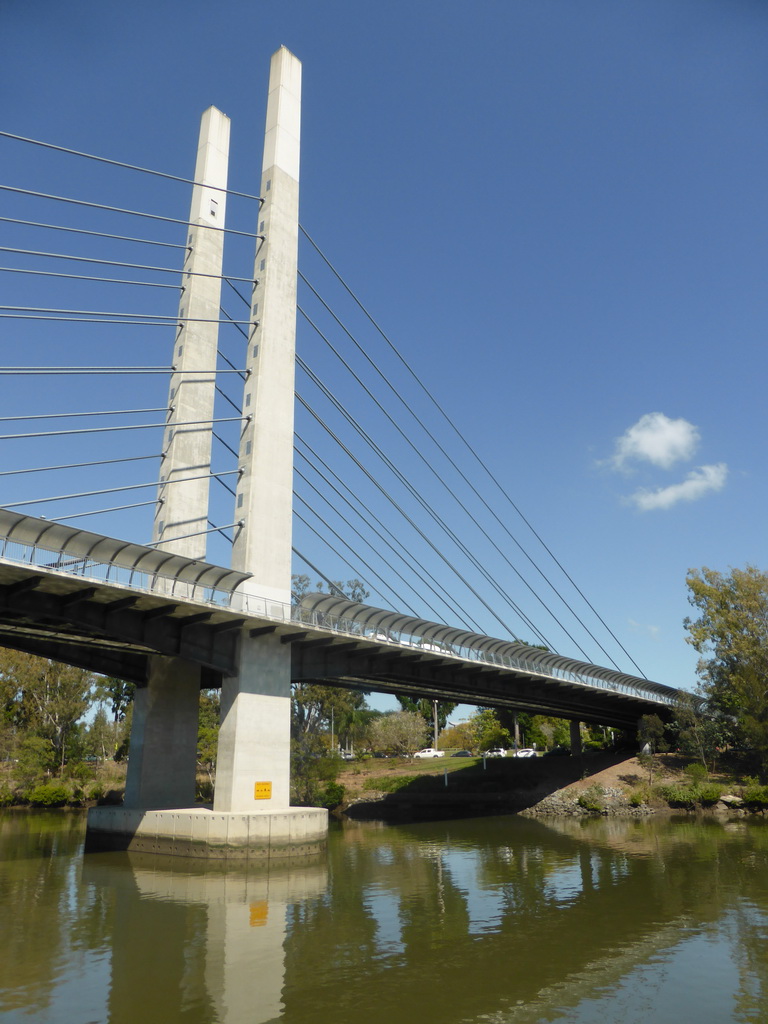 The Eleanor Schonell Bridge over the Brisbane River, viewed from the Miramar Koala & River Cruise boat