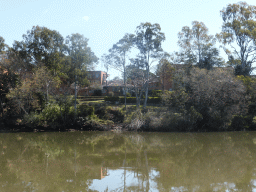 Houses in the Fairfield neighbourhood and the Brisbane River, viewed from the Miramar Koala & River Cruise boat