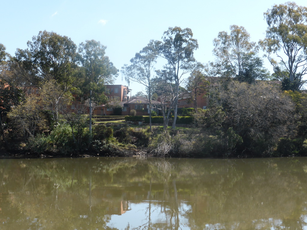 Houses in the Fairfield neighbourhood and the Brisbane River, viewed from the Miramar Koala & River Cruise boat