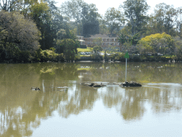 Rocks and sign in the Brisbane River and houses in the Fairfield neighbourhood, viewed from the Miramar Koala & River Cruise boat