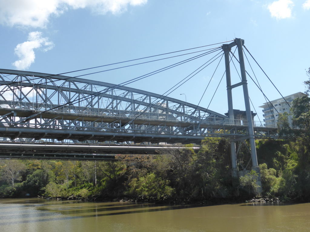 The Jack Pesch Bridge, the Albert Bridge and the Walter Taylor Bridge over the Brisbane River, viewed from the Miramar Koala & River Cruise boat