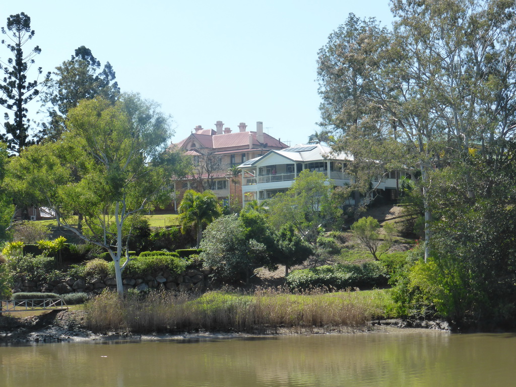 Houses in the Chelmer Neighbourhood and the Brisbane River, viewed from the Miramar Koala & River Cruise boat