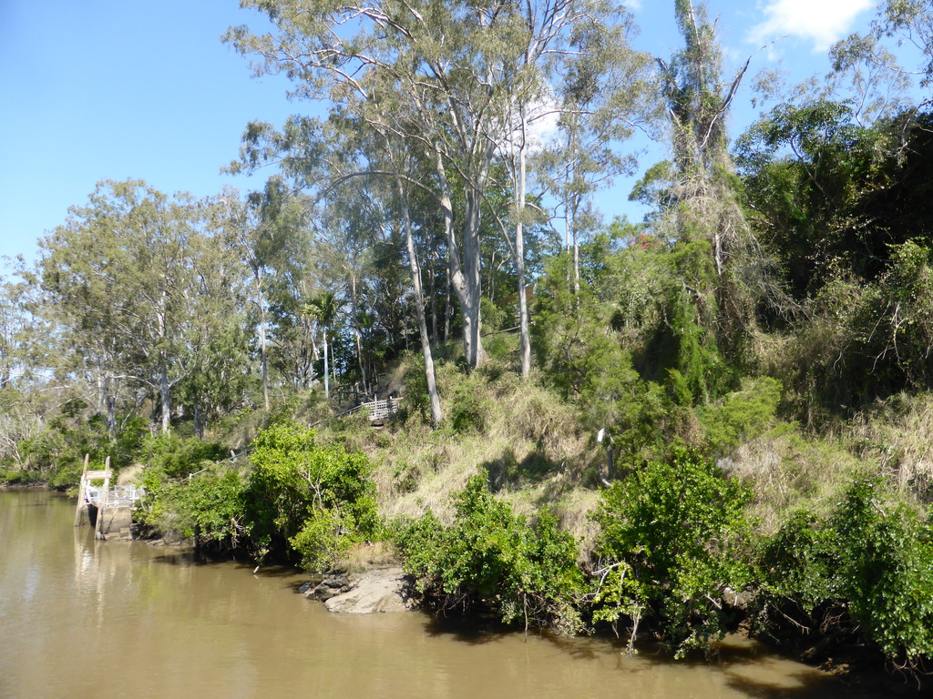 Ferry terminal of the Lone Pine Koala Sanctuary at the Brisbane River, viewed from the Miramar Koala & River Cruise boat