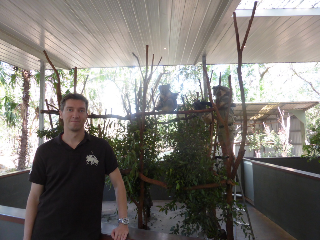 Tim with Koalas at the Lone Pine Koala Sanctuary