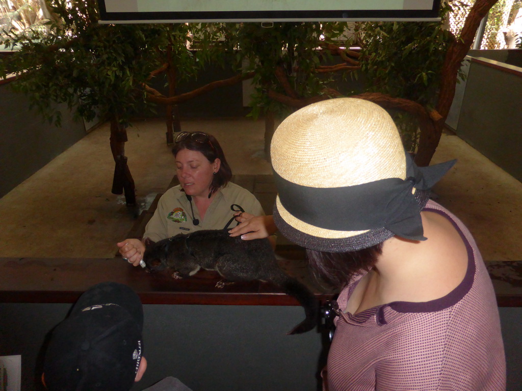 Miaomiao and the zoo keeper with a Possum during the Wildlife Encounter at the Lone Pine Koala Sanctuary