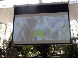 Zoo keeper with information on Koala species during the Koala Presentation at the Lone Pine Koala Sanctuary