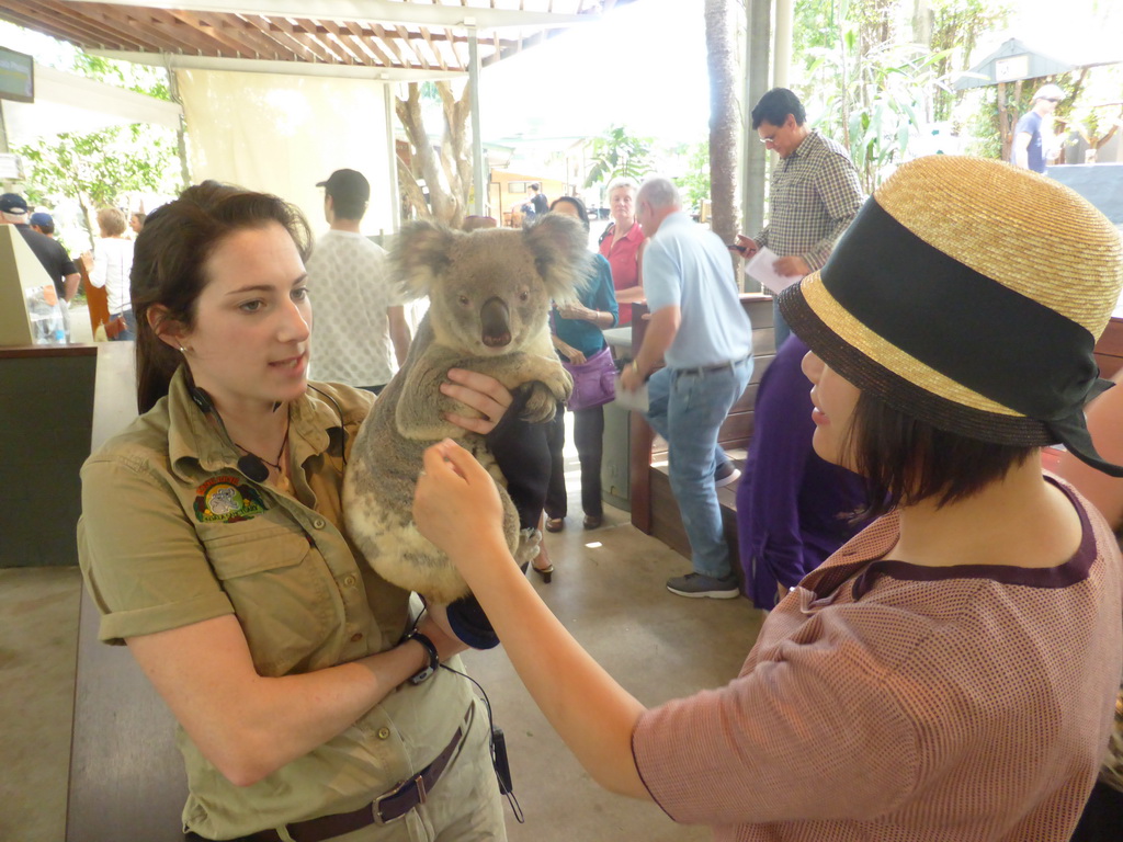 Miaomiao and the zoo keeper with a Koala during the Koala Presentation at the Lone Pine Koala Sanctuary