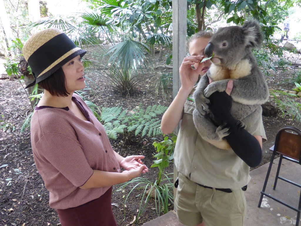 Miaomiao and the zoo keeper with a Koala during the Koala Cuddling at the Lone Pine Koala Sanctuary