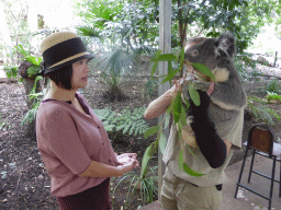 Miaomiao and the zoo keeper with a Koala during the Koala Cuddling at the Lone Pine Koala Sanctuary