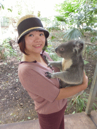 Miaomiao with a Koala during the Koala Cuddling at the Lone Pine Koala Sanctuary