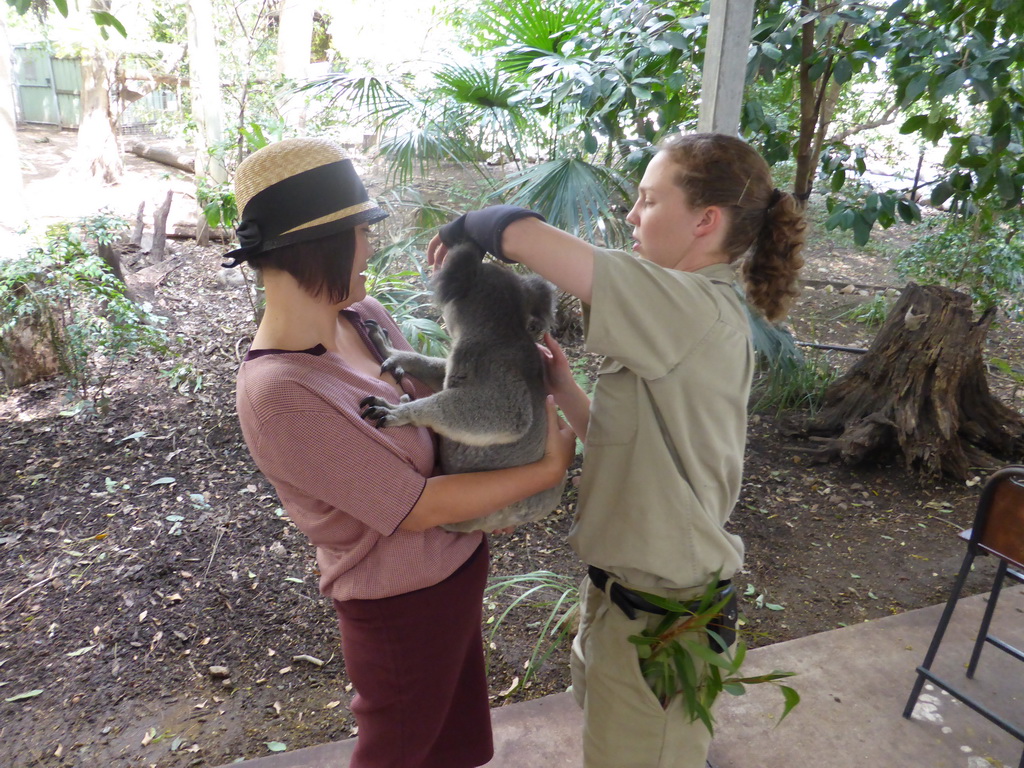 Miaomiao and the zoo keeper with a Koala during the Koala Cuddling at the Lone Pine Koala Sanctuary