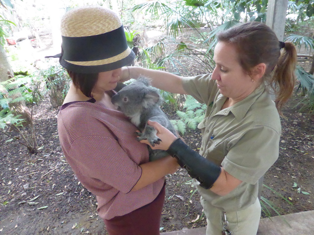 Miaomiao and the zoo keeper with a Koala during the Koala Cuddling at the Lone Pine Koala Sanctuary