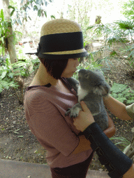 Miaomiao with a Koala during the Koala Cuddling at the Lone Pine Koala Sanctuary
