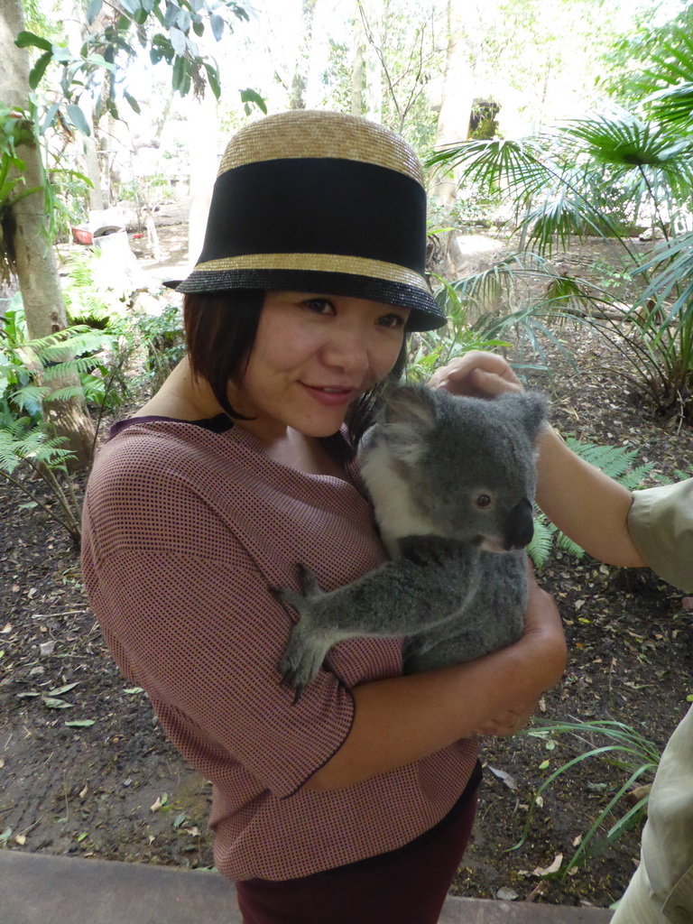 Miaomiao with a Koala during the Koala Cuddling at the Lone Pine Koala Sanctuary