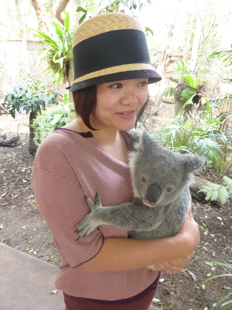 Miaomiao with a Koala during the Koala Cuddling at the Lone Pine Koala Sanctuary